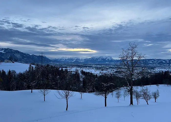 Chalet Vinzenz, Bildstein- Mit Privatem Ski- Und Fahrradraum