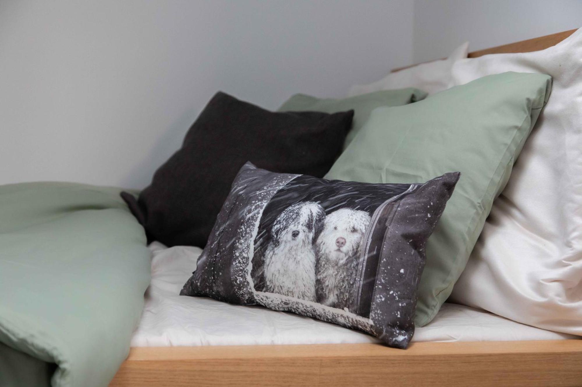 Apartment Vinzenz, Bildstein- Mit Privatem Ski- Und Fahrradraum *