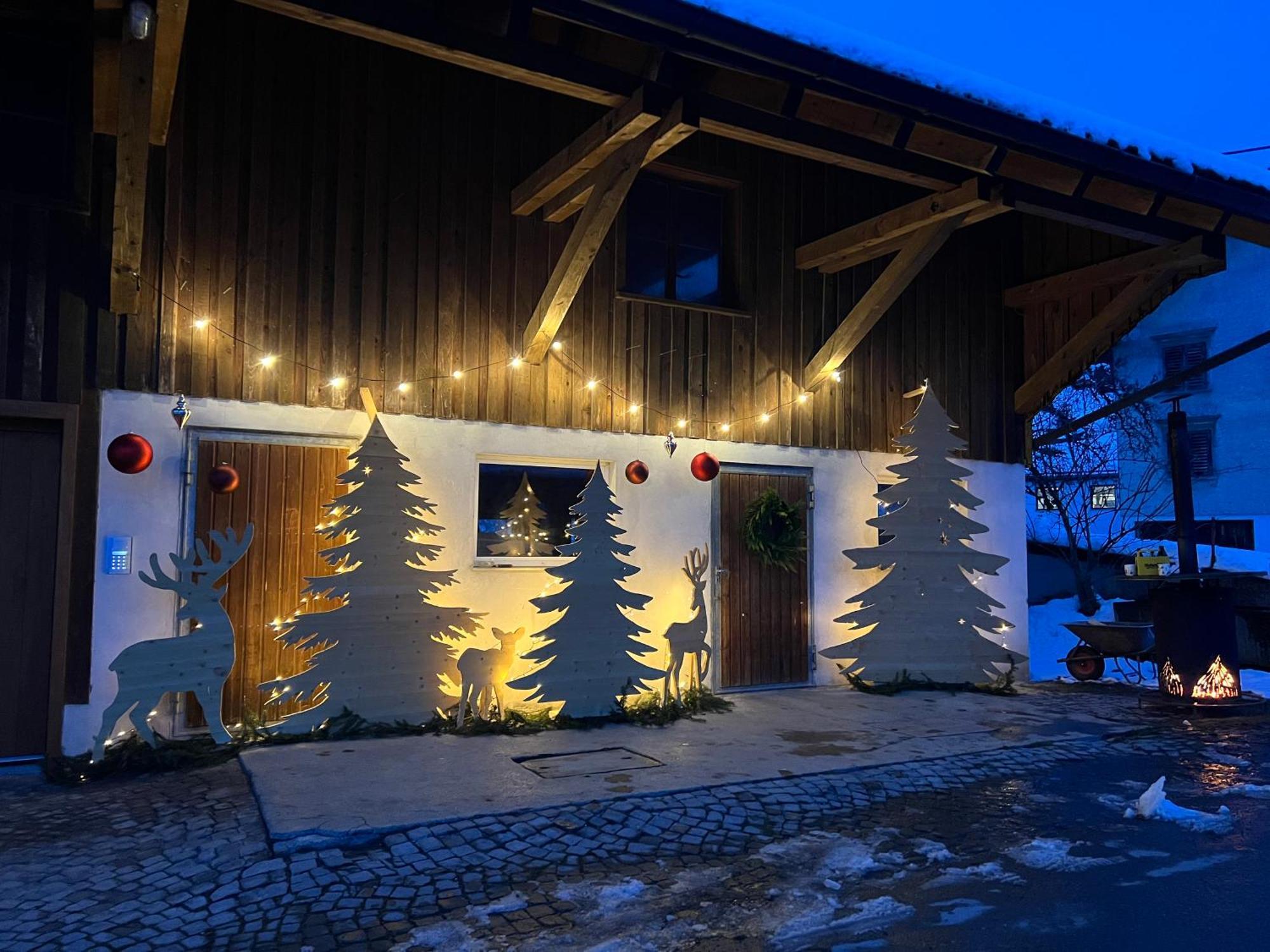Vinzenz, Bildstein- Mit Privatem Ski- Und Fahrradraum Apartment